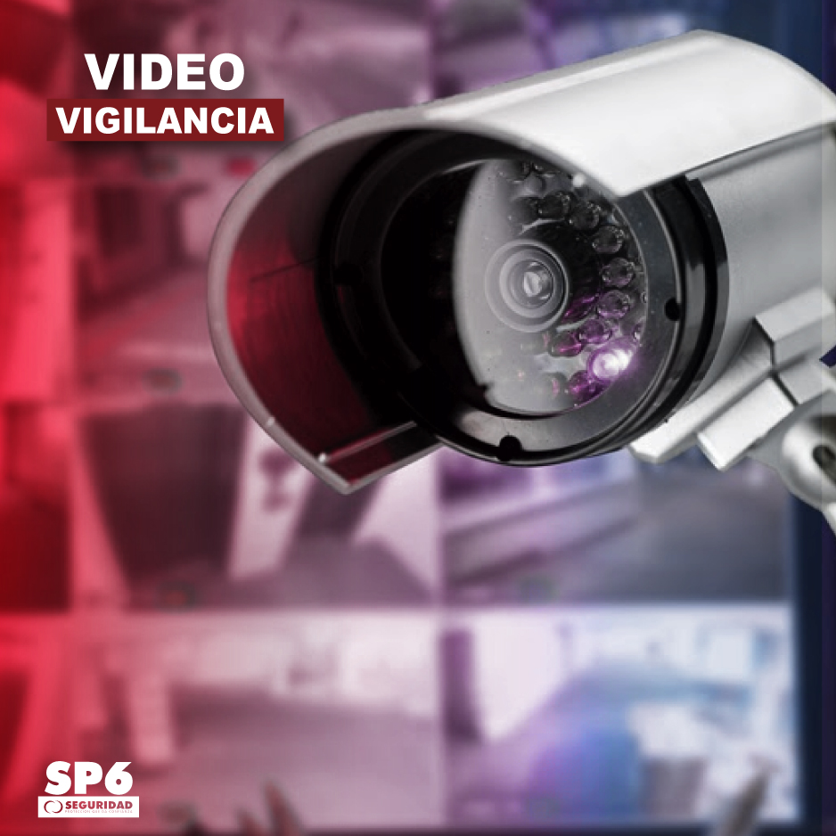 Cámaras avanzadas que identifican y previenen posibles riesgos.
